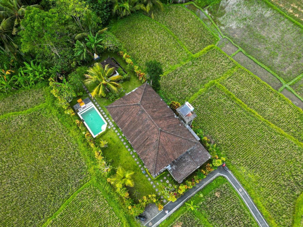Buddha Homestay Убуд Экстерьер фото
